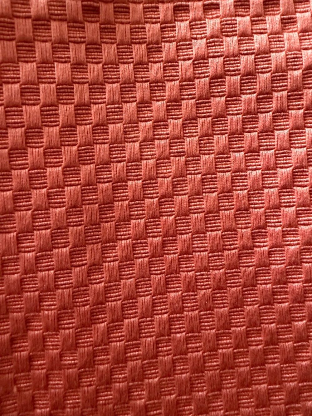 Schumacher Rust Barnet Cotton Fabric Panel / Sample